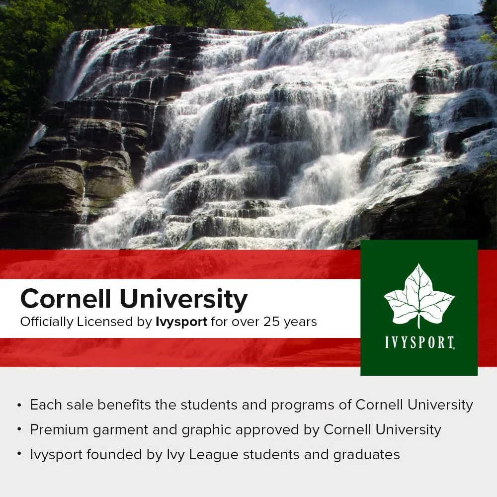 Cornell University Essential Sweatshirt (Heather Grey)