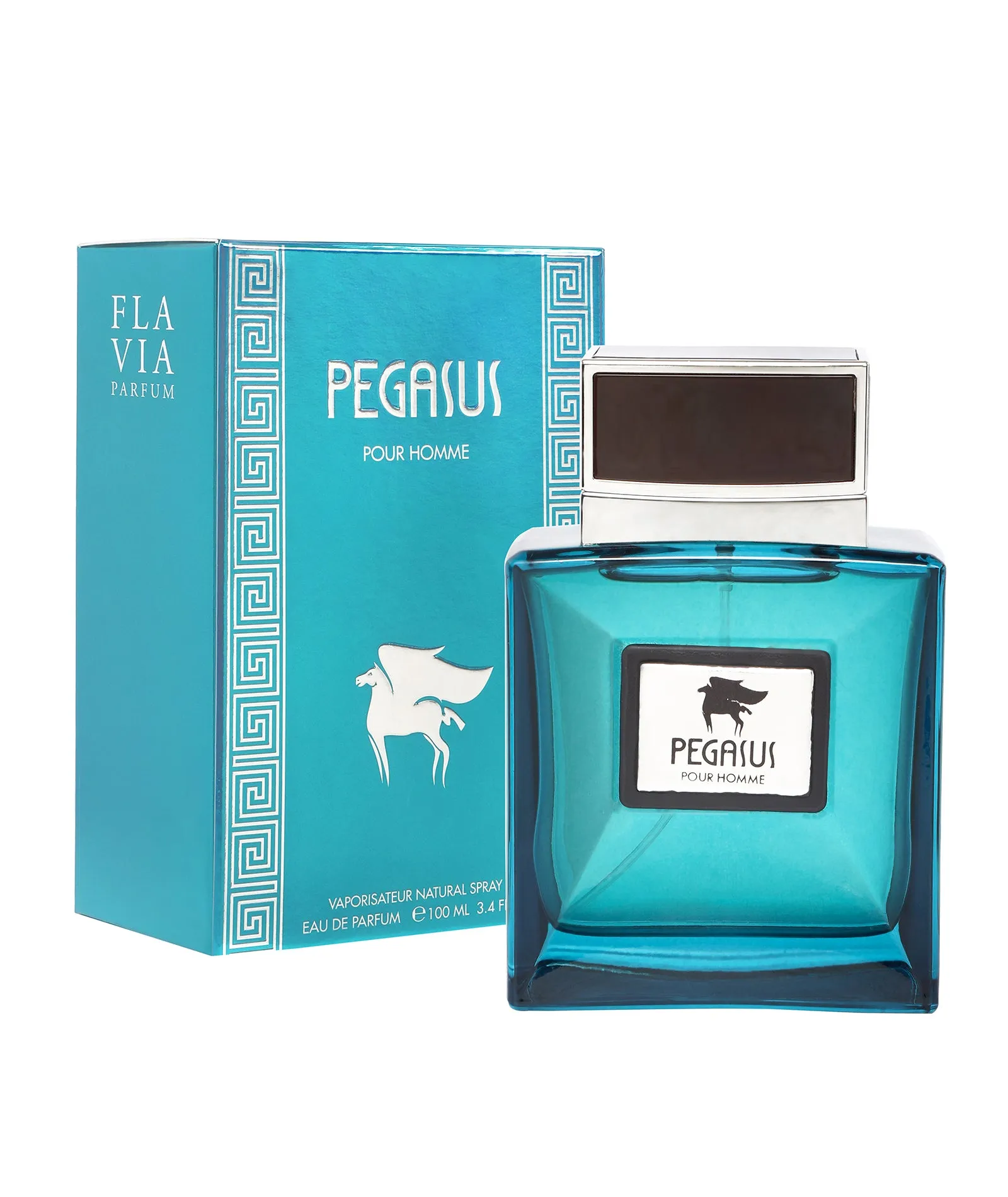 Flavia Pegasus Pour Homme Eau De Parfum 100ML