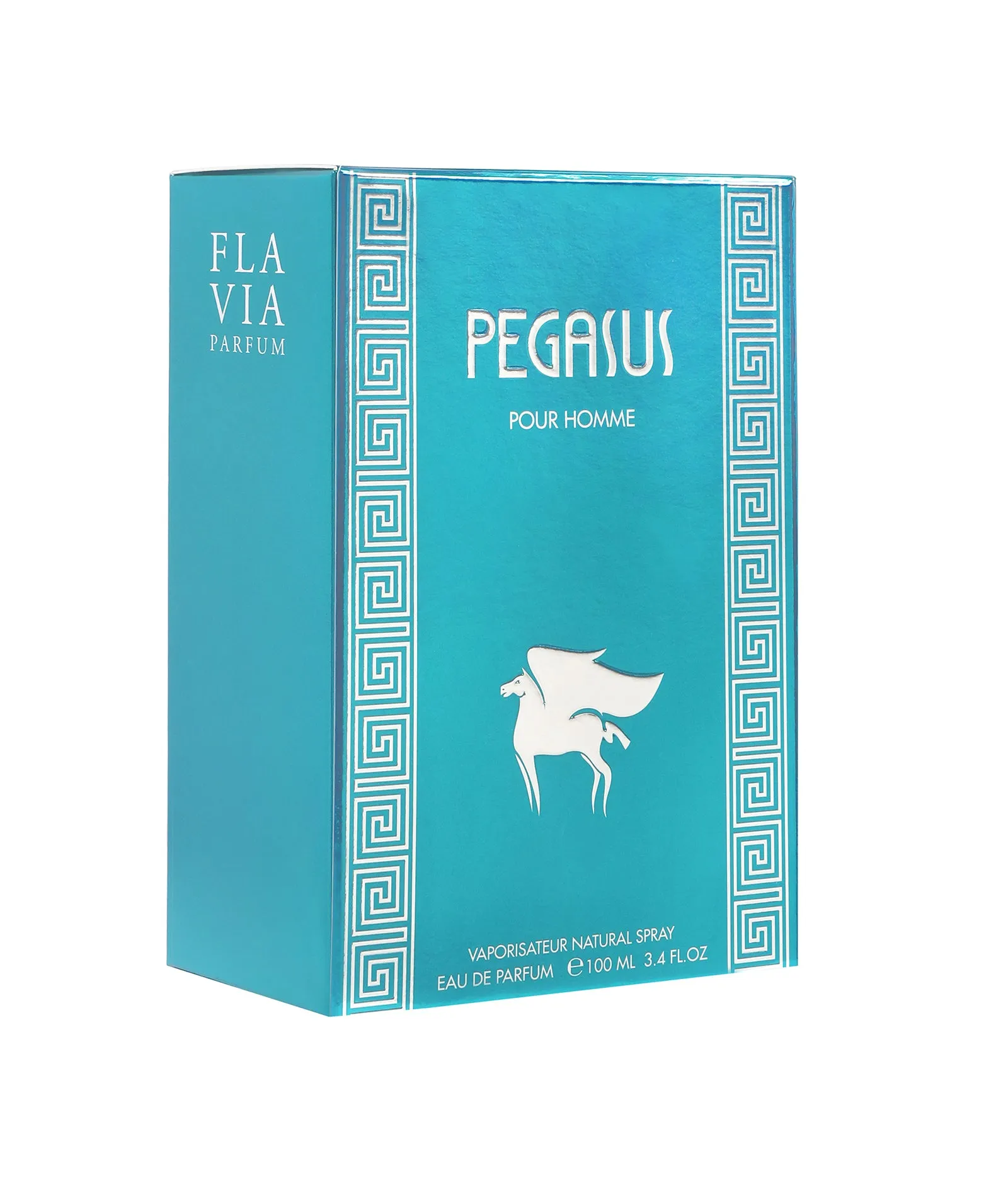 Flavia Pegasus Pour Homme Eau De Parfum 100ML