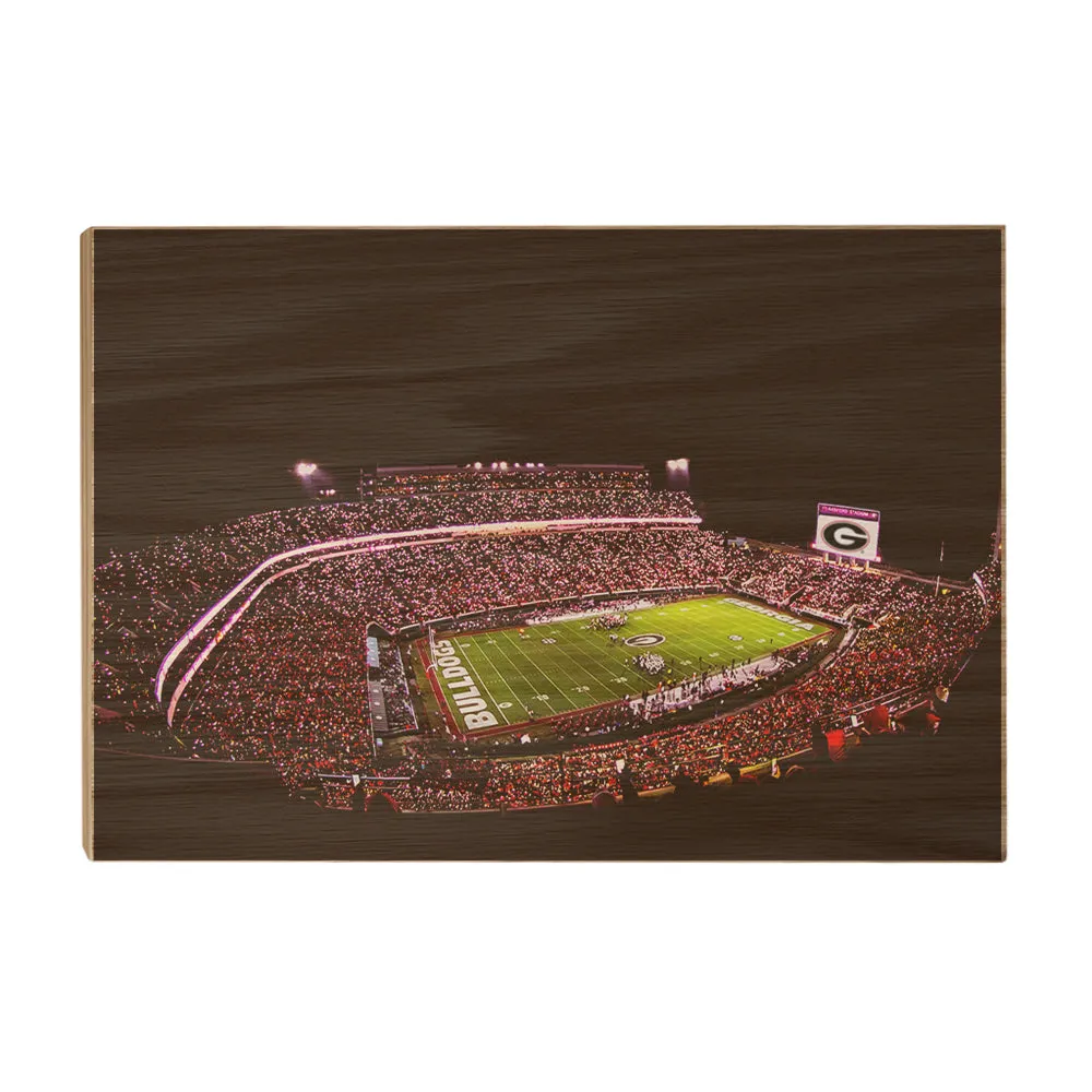 Georgia Bulldogs - Georgia Bulldogs Sanford Lights