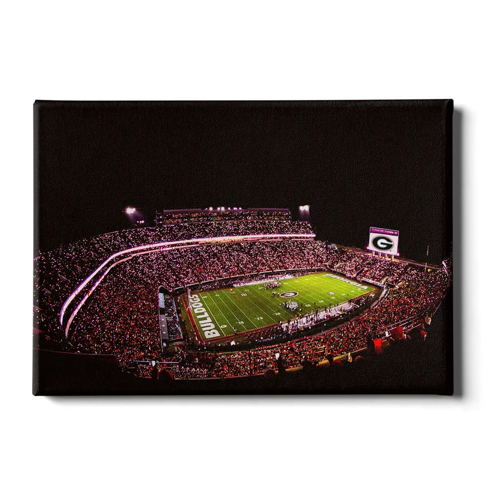 Georgia Bulldogs - Georgia Bulldogs Sanford Lights