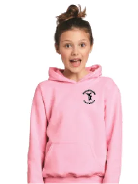 NRSD-Classic Pink Hoodie