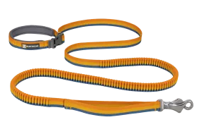 Roamer™ Bungee Dog Leash