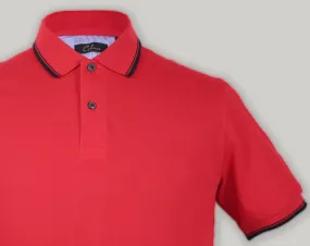 Tipped Collar Solid Polo